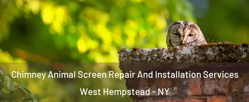  Chimney Animal Screen Repair And Installation Services West Hempstead - NY