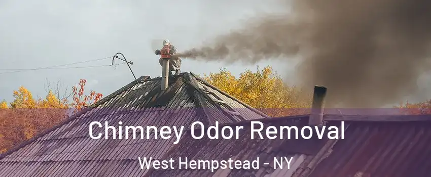  Chimney Odor Removal West Hempstead - NY