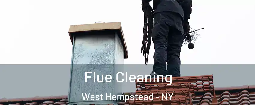  Flue Cleaning West Hempstead - NY